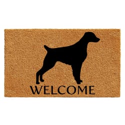 Calloway Mills 2 ft. W X 3 ft. L Black/Brown Coir Door Mat