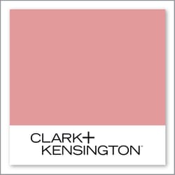 Clark+Kensington Warm Coral 06B-4