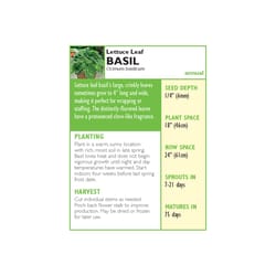 Lake Valley Seed Basil Seeds 1 pk