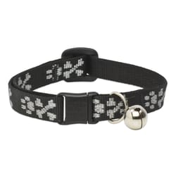 Lupine Pet Original Designs Multicolor Bling Bonz Nylon Cat Collar