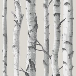 NuWallpaper 20-1/2 in. W X 18 ft. L Birch Tree Peel and Stick Wallpaper