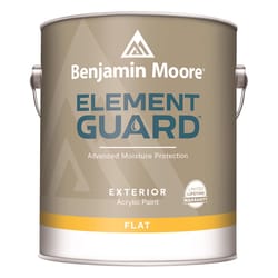 Benjamin Moore Element Guard Flat White Paint Exterior 1 gal