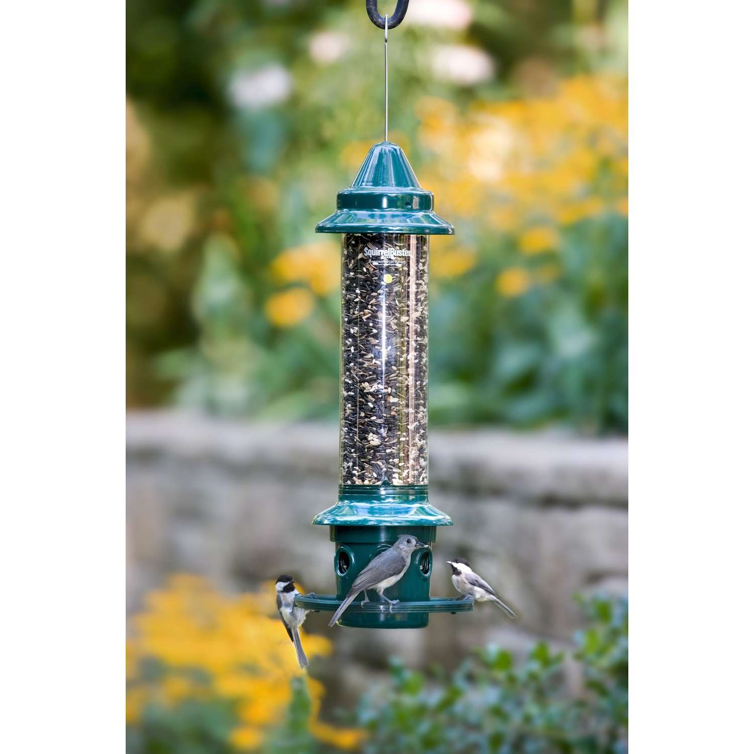 Brome Bird Care SquirrelBuster 3 lb Metal/Plastic Bird Feeder 5 ports ...