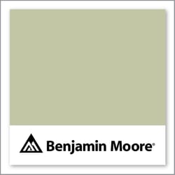 Benjamin Moore Mesquite 501