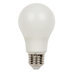 Westinghouse A19 E26 (Medium) LED Bulb Daylight 40 W 1 pk