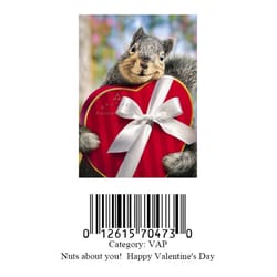 Avanti Press, Inc. Squirrel Holds Heart Box Greeting Cards Paper 1 pk