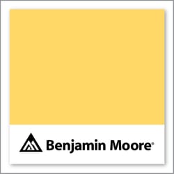 Benjamin Moore Yellow Rain Coat 2020-40