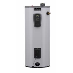 Reliance 40 gal 5500 W Electric Water Heater