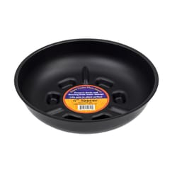 Down Under 6 in. D Plastic Plant Saucer Black