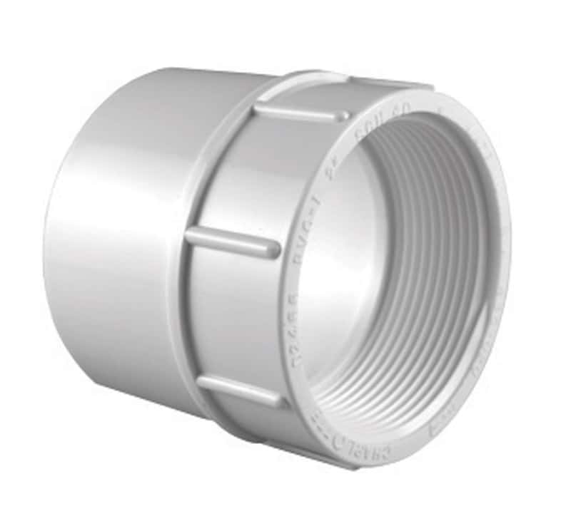 Charlotte Pipe Schedule 40 1/2 in. Slip T X 1/2 in. D FPT PVC Pipe