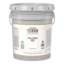 Evolve Terra Flat Interior Latex Wall Paint Interior 5 gal