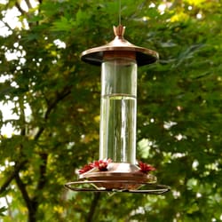 Perky-Pet Hummingbird 12 oz Copper/Glass Nectar Feeder 4 ports