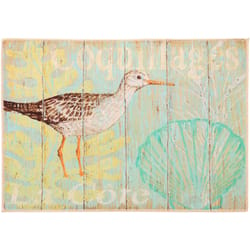 Olivia's Home 22 in. W X 32 in. L Multicolored Beachside Sandpiper Polyester Accent Rug