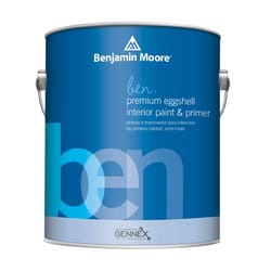 Benjamin Moore Ben Eggshell Base 1 Paint and Primer Interior 1 gal