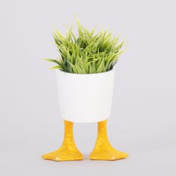 Kikkerland 3.93 in. H X 5.7 in. W X 5.9 in. D Ceramic Duck Feet Planter White