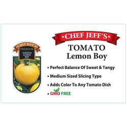 Chef Jeff Yellow Premium Lemon Boy Tomato Vegetable Plant