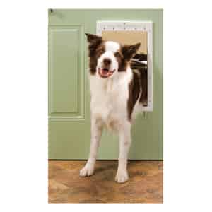 Pet Doors And Gates Ace Hardware