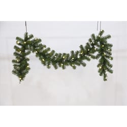 Celebrations 6 ft. L LED Prelit Multicolored LED and Multi-Function Northern Pine Garland