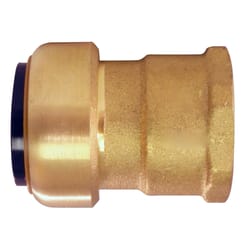 Apollo Tectite Push to Connect 1 in. PTC in to X 1 in. D FPT Brass Adapter