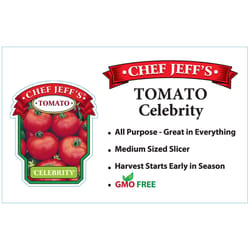 Chef Jeff Red Standard Celebrity Tomato Vegetable Plant