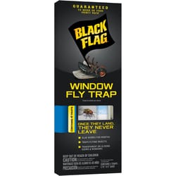 Black Flag Fly Trap 4 pk