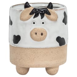 Abbott 3 in. H Stoneware Cow Planter Black/White