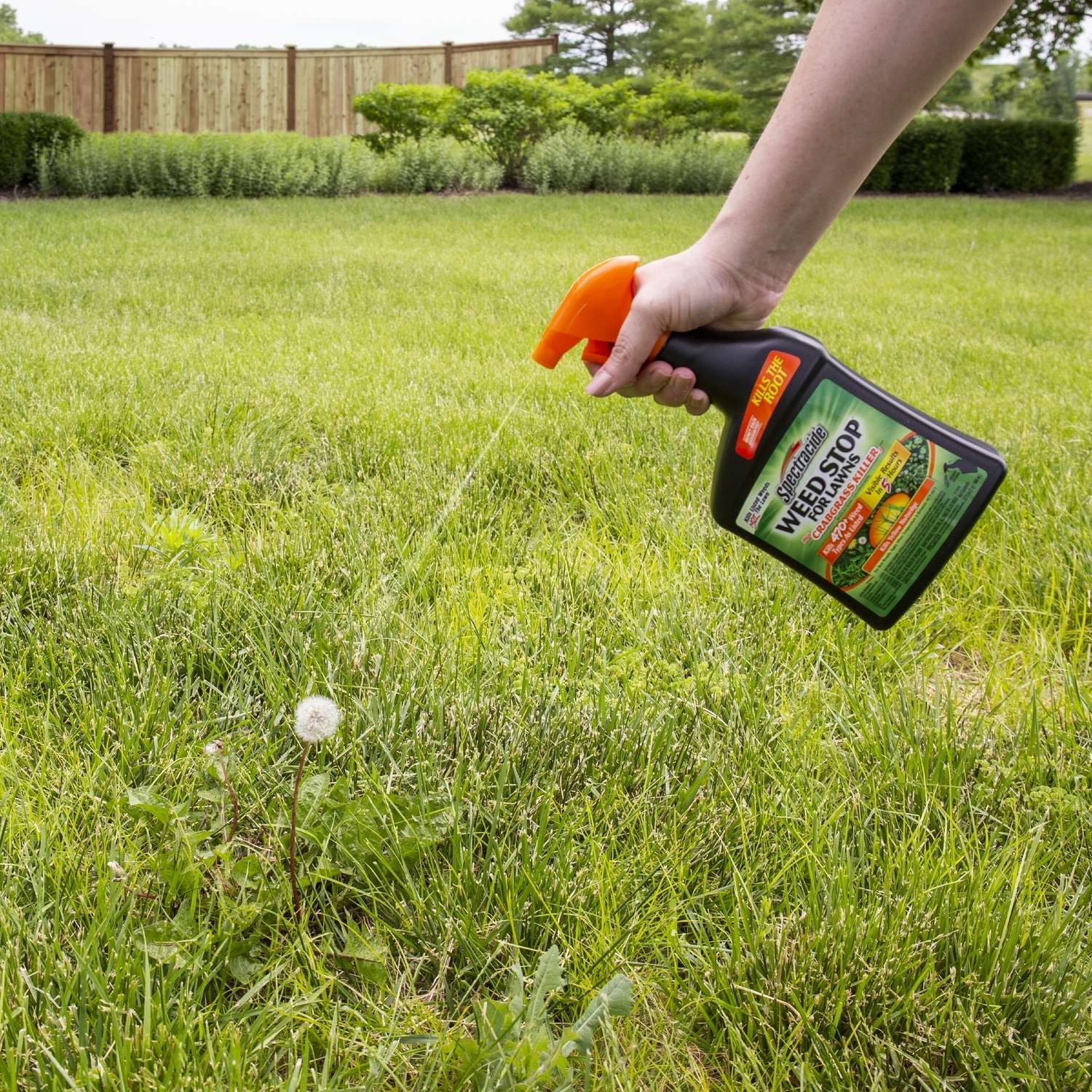 Spectracide Weed Stop Weed and Crabgrass Killer RTU Liquid 32 oz. Ace Hardware