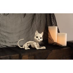 Seasons 5 in. Skeleton Cat Halloween Decor