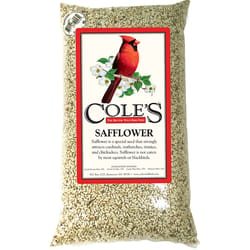 Cole's Assorted Species Safflower Seeds Wild Bird Food 10 lb