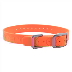 Carhartt Hunter Orange Rubber Dog Collar