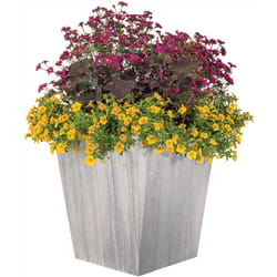 Suncast Farmington 18 in. H X 16 in. W X 16 in. D Resin Planter Dove Gray