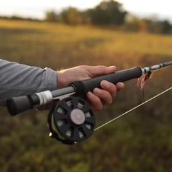 Toadfish Fishing Rod 9 ft.