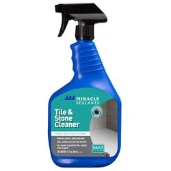 Santeen Chrome and Tile Cleaner No Scent Brick And Tile Cleaner 22 oz  Liquid - Ace Hardware