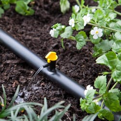 Raindrip Spot Drip Irrigation Dripper 4 gph