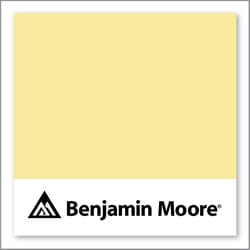 Benjamin Moore Pineapple Grove 333