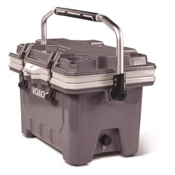 Ace hardware hot sale ice chest