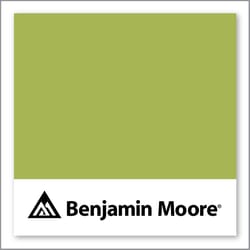 Benjamin Moore Perennial 405