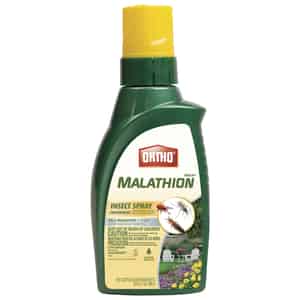 Ortho  Max Malathion  Insect Killer  16 oz. 