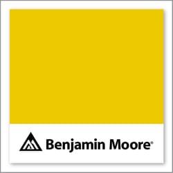 Benjamin Moore Yolk 2023-10