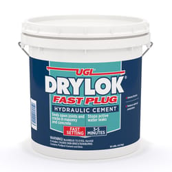 Drylok Fast Plug Hydraulic & Anchoring Cement 10 lb Gray