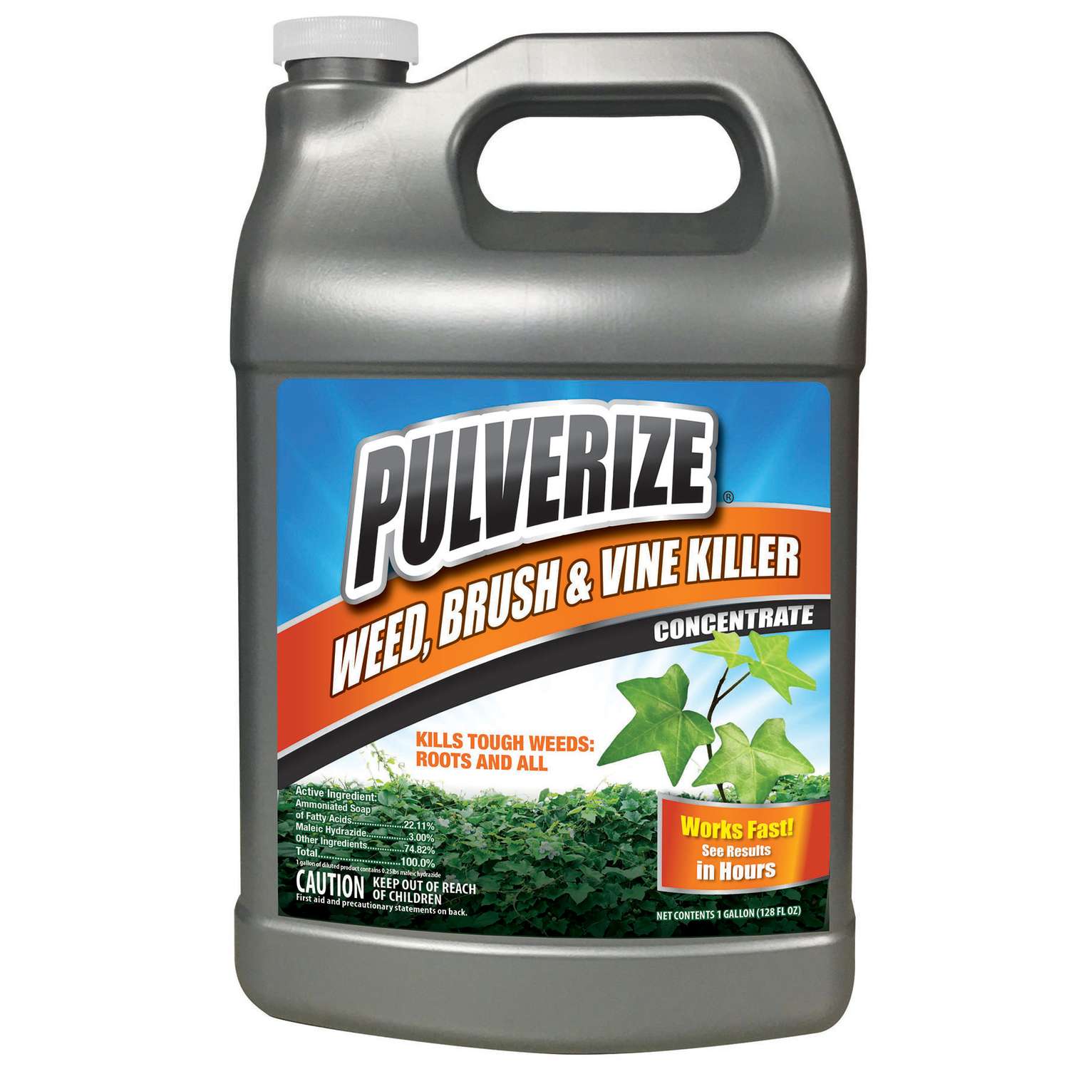 Pulverize Brush/Vine/Weed Killer Concentrate 1 gal Ace Hardware