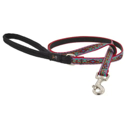 LupinePet Original Designs Multicolor El Paso Nylon Dog Leash