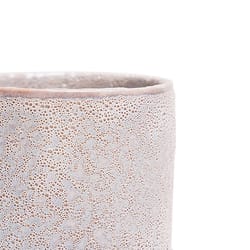 Chive Minute 5 in. D Ceramic Flower Pot Ivory Speckles