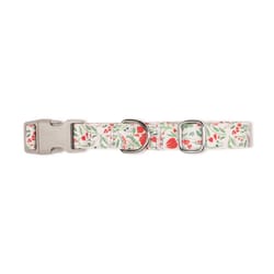 Pet Shop by Fringe Studio Multicolored Ditsy Floral Cotton/Nylon Dog Collar Medium