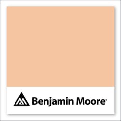 Benjamin Moore Soft Salmon 096