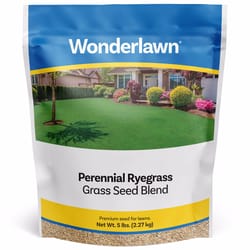 Barenbrug Wonderlawn Perennial Ryegrass Partial Shade/Sun Grass Seed Blend 10 lb