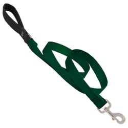 Lupine Pet Basic Solids Green Green Nylon Dog Leash