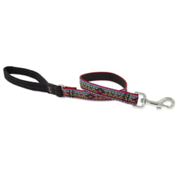 LupinePet Original Designs Multicolor El Paso Nylon Dog Training Leash