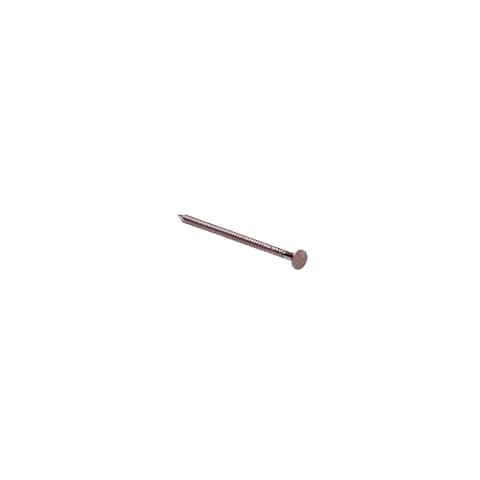Ace 5D 1-3/4 in. Box Hot-Dipped Galvanized Steel Nail Flat Head 1 lb