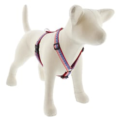 LupinePet Holiday Multicolored Stars and Stripes Nylon Dog Harness